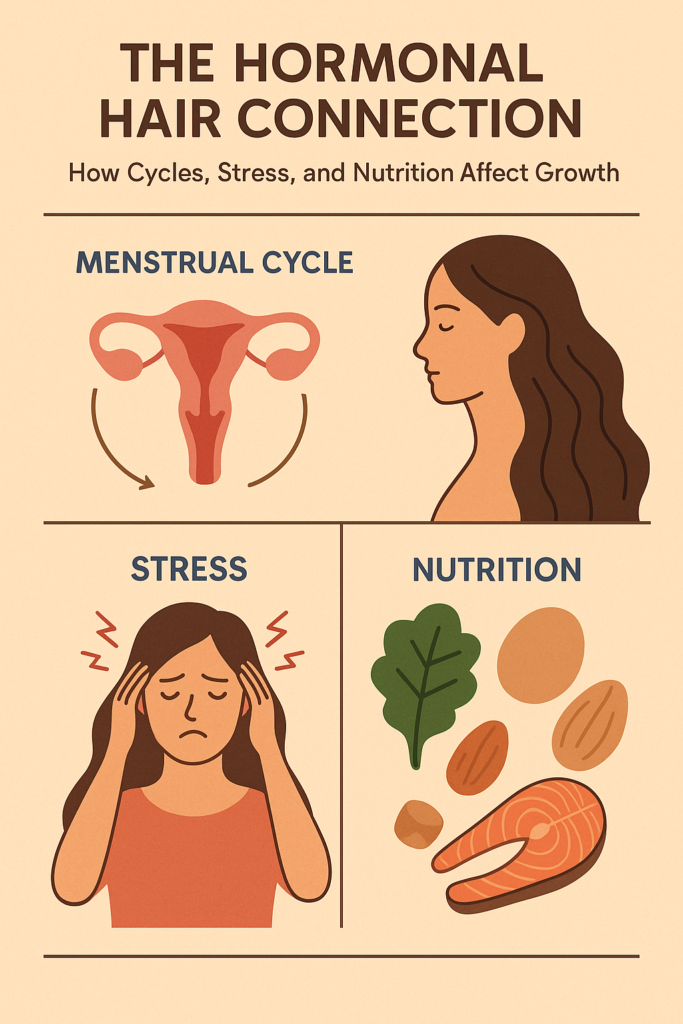 The Hormonal Hair Connection – How Cycles, Stress, and Nutrition Affect Growth